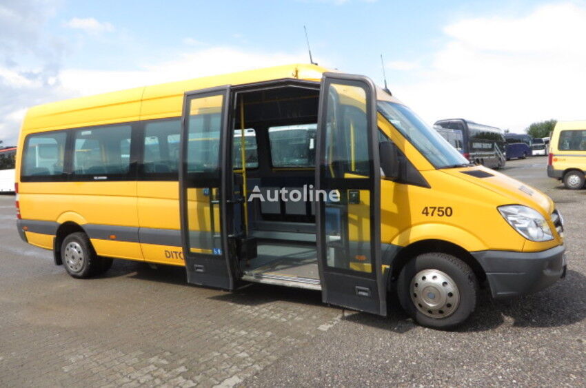 Mercedes-Benz Sprinter 515 passenger van