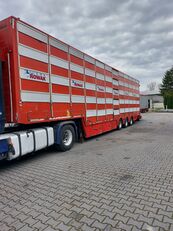 Pezzaioli SBA31 5 poziomów livestock semi-trailer