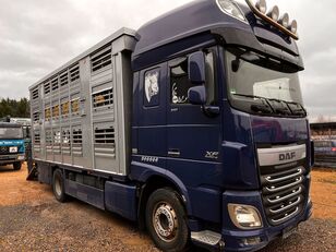 DAF XF 105 Viehtransporter * FINKL * 2 Stock livestock truck