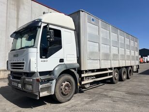 IVECO STRALIS AT260S43Y-PT  livestock truck