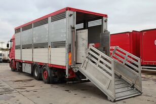 MAN BDF, ANIMAL/TIER TRANSPORTATION livestock truck