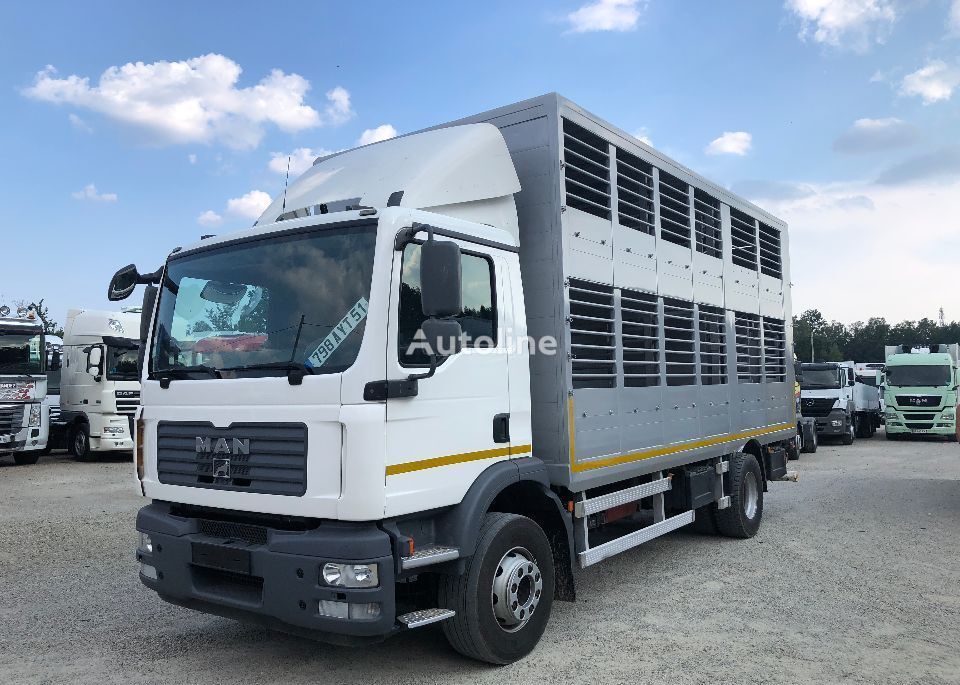 MAN TGM 15.280 livestock truck