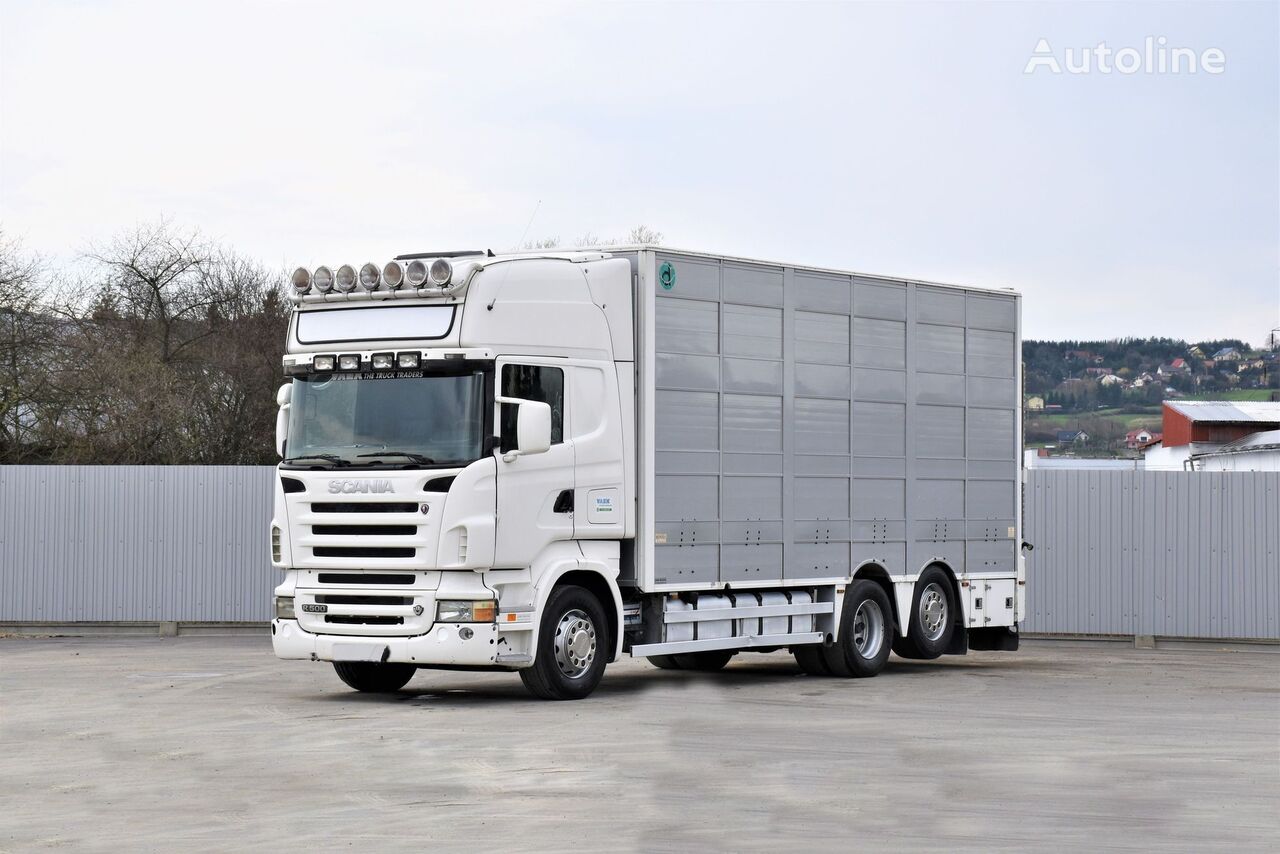 Scania R 500 livestock truck