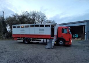 VOLVO FM9 livestock truck